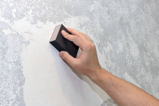 Best Commercial Mold Inspection  in Keego Harbor, MI