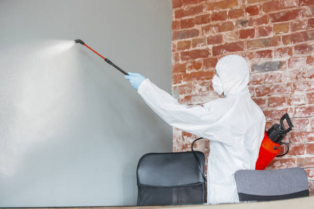 Best Water Damage & Mold Remediation  in Keego Harbor, MI