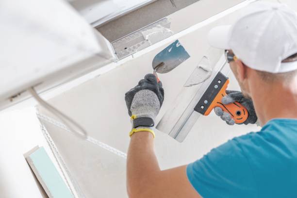 Trusted Keego Harbor, MI Mold Removal Experts